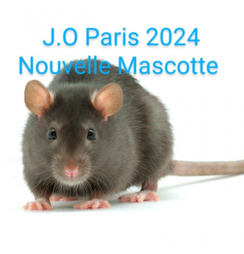 1A.png