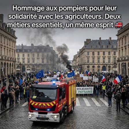 1AA.jpg