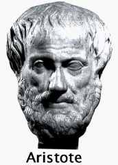 1154905678.jpg
