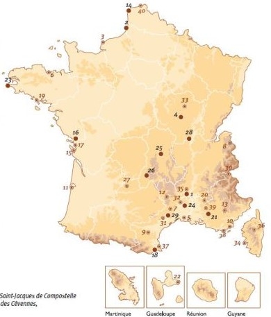 1A.jpg