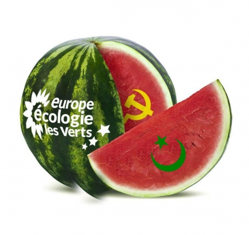1A.jpg
